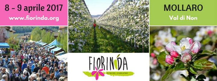 Risultati immagini per fiorinda mollaro