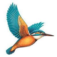 Kingfisher Events
