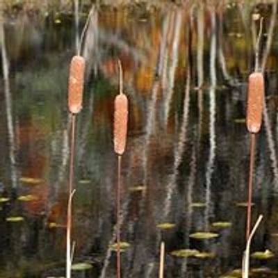 Wetlands Riverlot