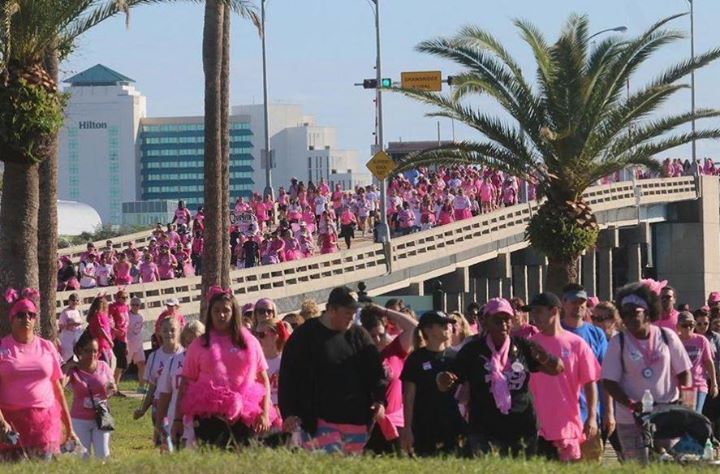 Breast cancer walk in tampa Think, breast cancer walk in tampa confirm. join
