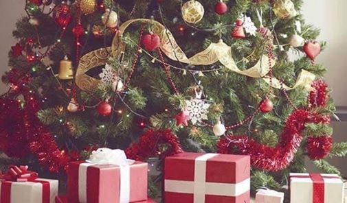 Christmas In July Party At Pampered Princess Oxenford