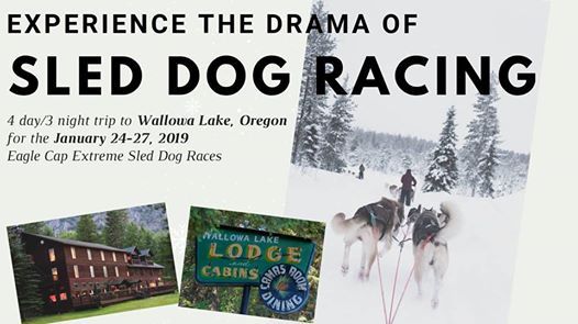 Winter Excursion To Wallowa Lake At Lake Wallowa Lodge Oregon
