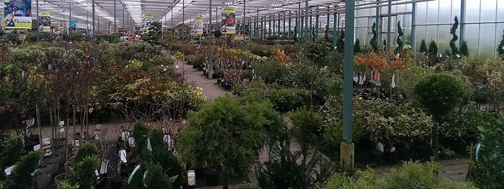 Gartencenter Denekamp