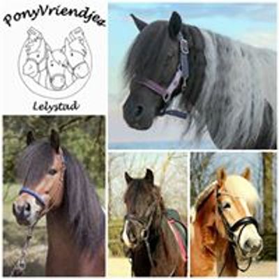 Ponyvriendjes Lelystad