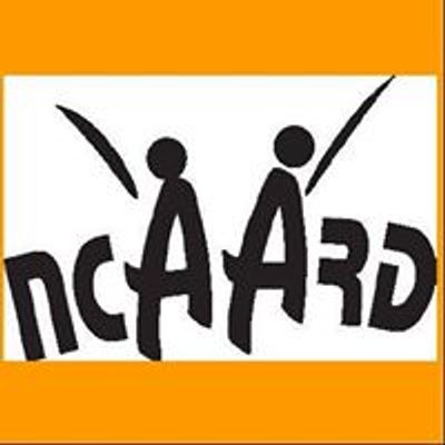 New Concord Area Arts & Recreation District