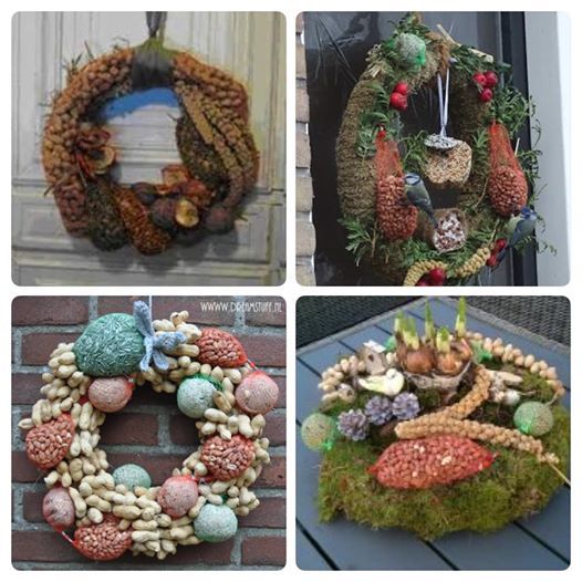 vogeltaart maken at @brigitte'samersfoort, amersfoort