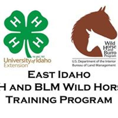 East Idaho 4-H and BLM Wild Horse Program