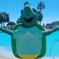Toby The Turtle