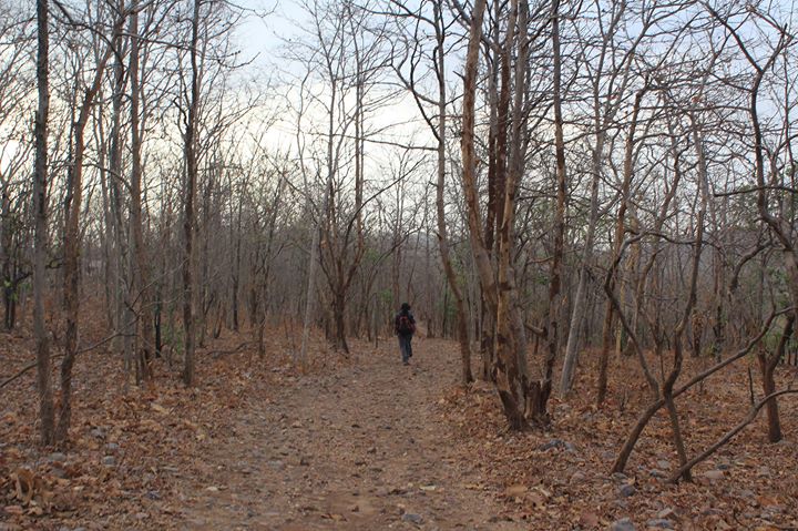 Things to do in Ahmedabad