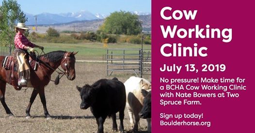 Bcha Cow Working Clinic At Two Spruce Farm Berthoud
