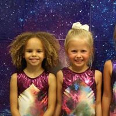 PerfectionGymnastics
