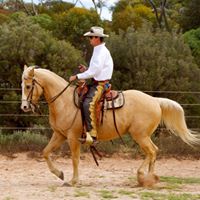Light Hands Equitation