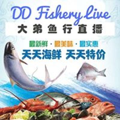DD Fishery Live 大弟鱼行直播