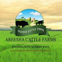 Areesha Cattle Farm