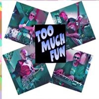 Too Much Fun
