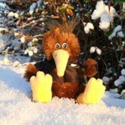 Discover Kiwis In Northern Ireland Events | Tickets & Details | AllEvents