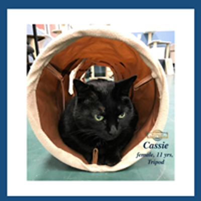 Passport Animal Rescue, Inc.