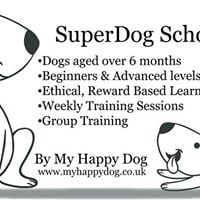 Dog Training Session - Beginners at Hollywood Primary ...