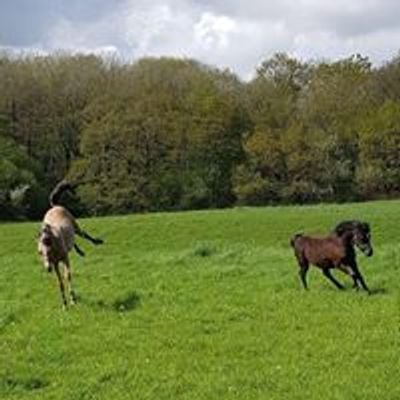 Abbey Farm Feeds LTD