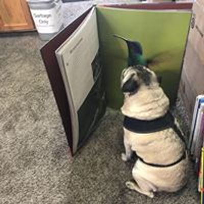 Oregon Books & Games