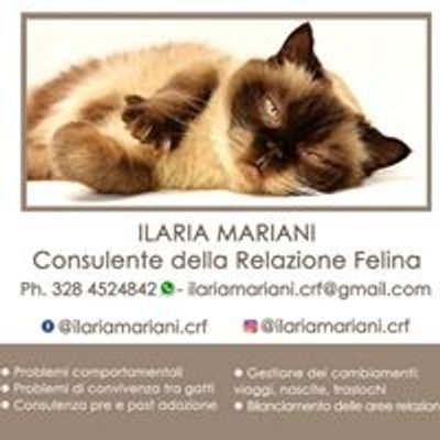 Ilaria Mariani, Consulente della Relazione Felina