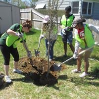 Regreen Springfield