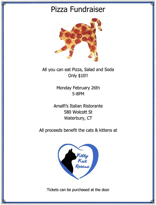all you can eat pizza dinner at amalfi s waterbury