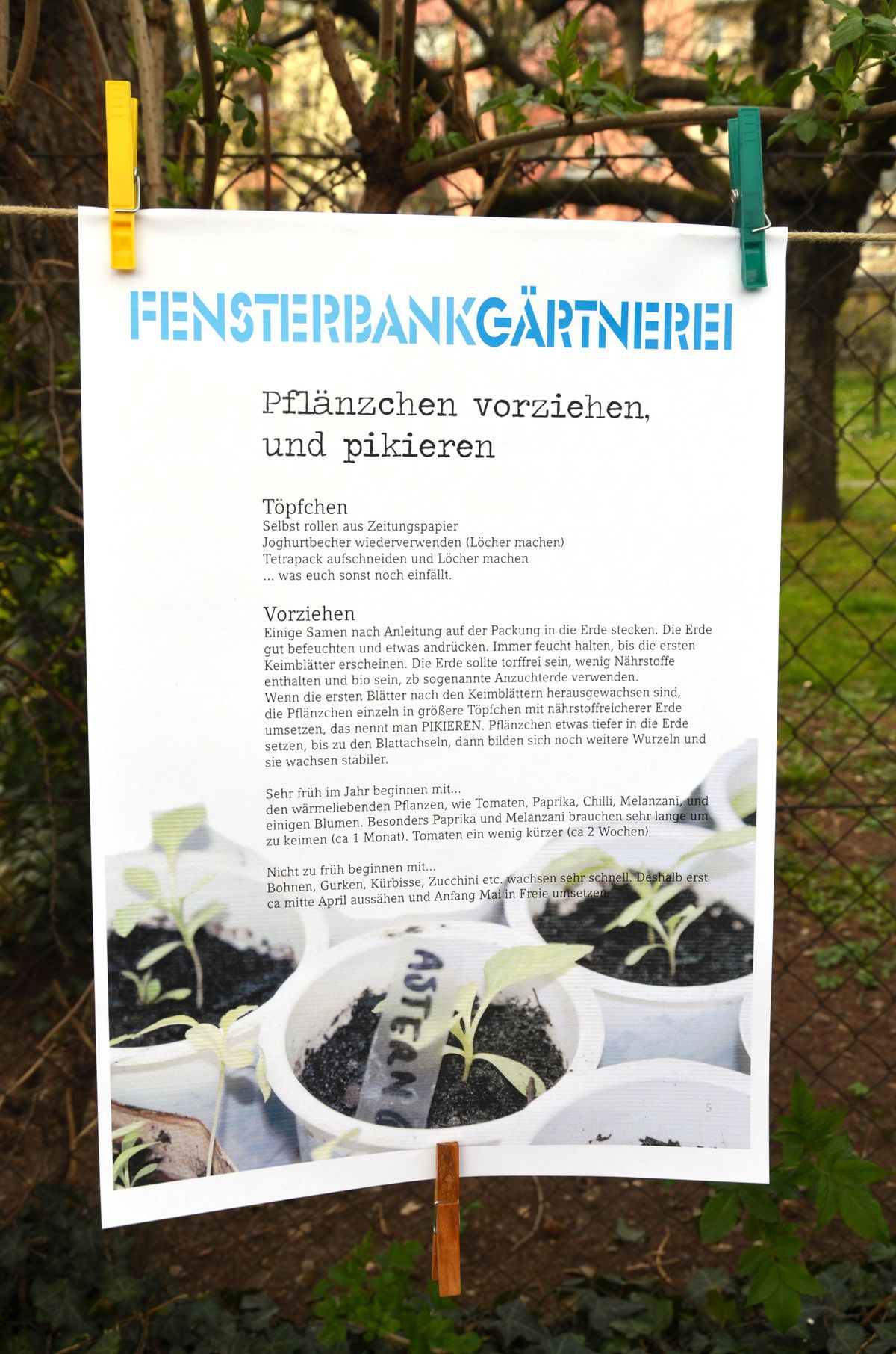 Anzucht Aussaat Fensterbankgartnerei Workshop Mit Johanna Graz