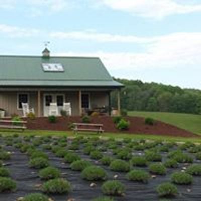 Deep Creek Lavender Farm