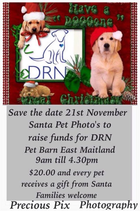 Santa Photos For Your Pets And Kids At Pet Barn East Maitland