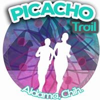 Picacho Trail Run