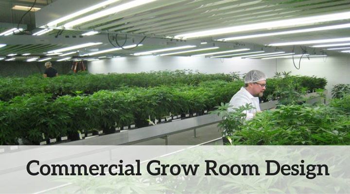 Commercial Grow Room Design At 11402 Bloomingdale Ave