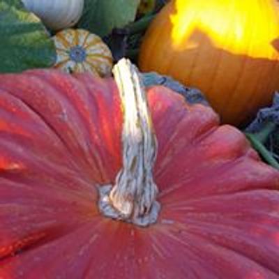 Hazelmere Pumpkin Patch