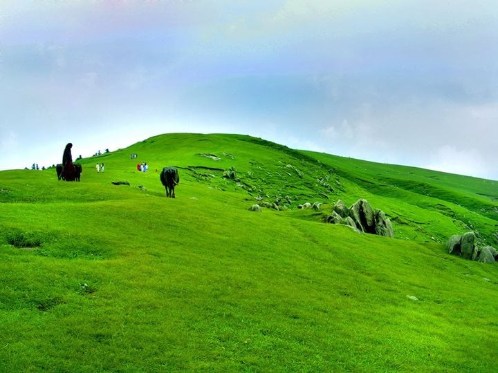 Trip to Toli Peer & Banjosa Lake at Toli Peer, Azad Kashmir, Islamabad