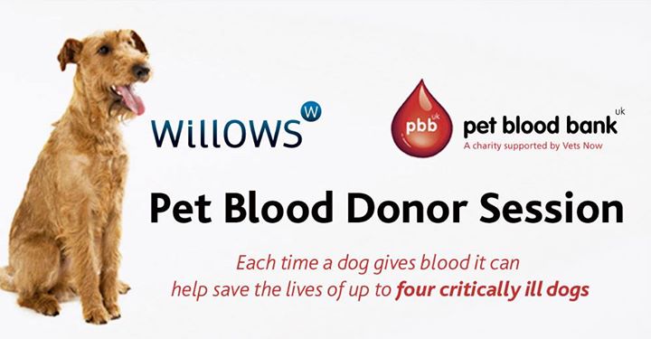 Pet Blood Bank Blood Collection Session At Willows Solihull