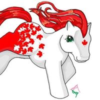 The Canadian Pony Collectors Extravaganza
