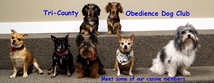 tri county obedience dog club