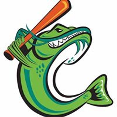 Cape Catfish