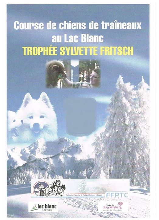 Coup De Sifflet De Départ Pour La Course De Chiens De