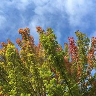 Tacoma Tree Foundation