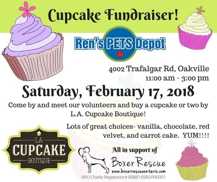 Boxer Rescue Ontario Cupcake Fundraiser Boxer Rescue Ontario Cupcake Fundraiser