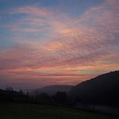 CAVE SPRINGS FARM