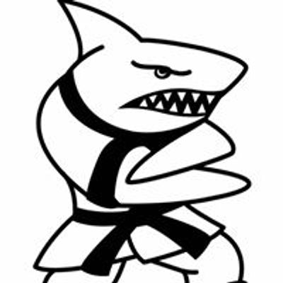 Action Karate North Wales