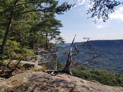 Big Creek Rim Hike At Great Stone Door1183 Stone Door Rd