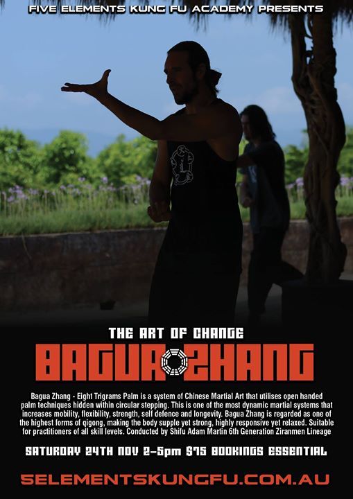 Bagua Zhang Art Of Change 3 Bagua Zhang Art Of Change 3