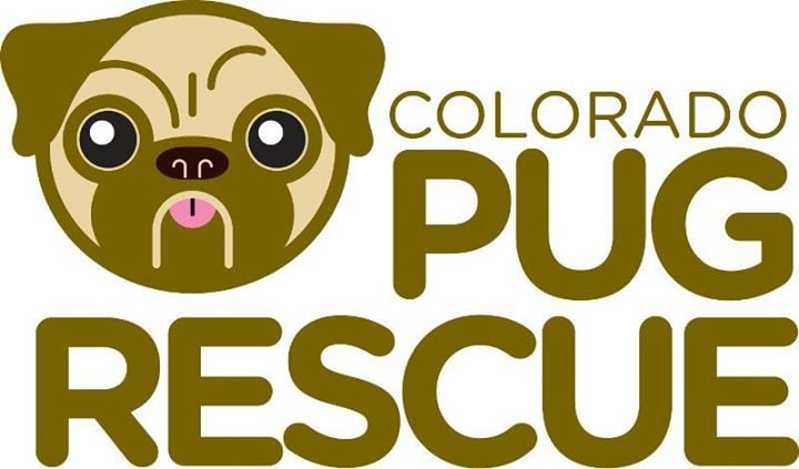 co pug rescue