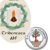 Larrea Tridentata Grove, ADF