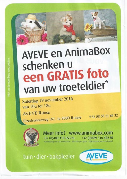 Gratis Foto Van Jouw Troeteldier Met Animabox At Aveve Ronse Ronse