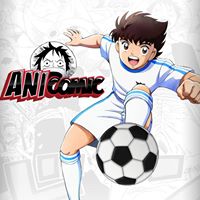 Anicomic