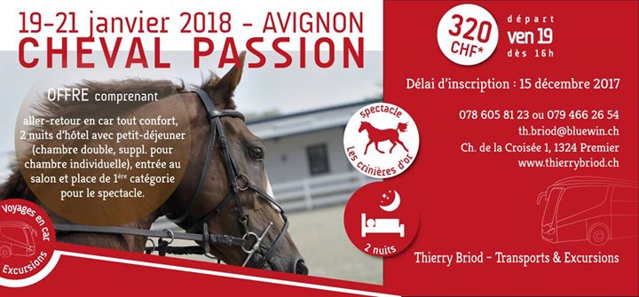 Cheval Passion Un We A Avignon At Thierry Briod Transports
